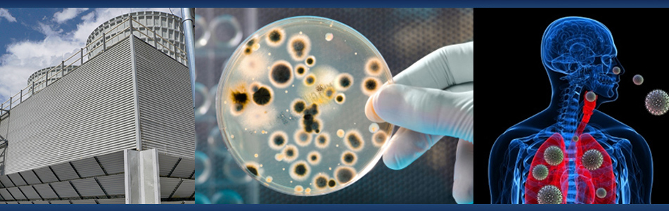 Legionella_Article_Pic.png