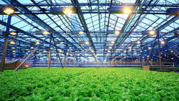 Agriculture