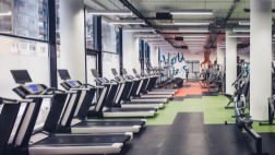 fitness